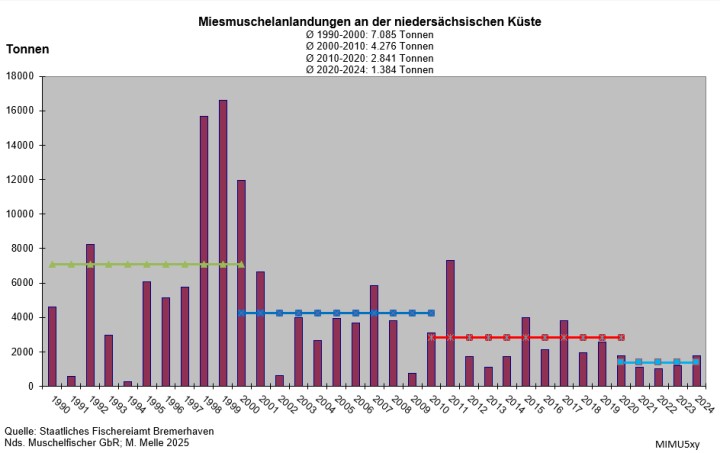 Muschelanlandungen 10 Jahre