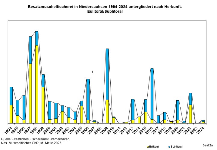 Herkunft Saatmuscheln